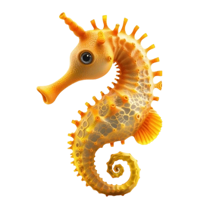 Deniz Atı (Hippocampus):