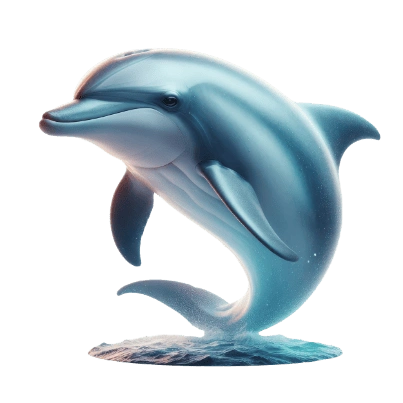 Beyaz Başlı Yunus (Cephalorhynchus hectori): 